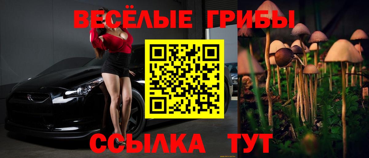 Галлюциногенные грибы мицелий Ивантеевка