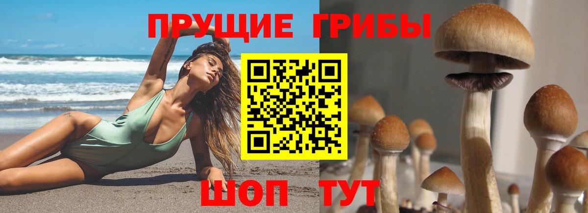 Галлюциногенные грибы GOLDEN TEACHER  Вход с VPN  Псилоцибиновые грибы GOLDEN TEACHER  Ивантеевка 